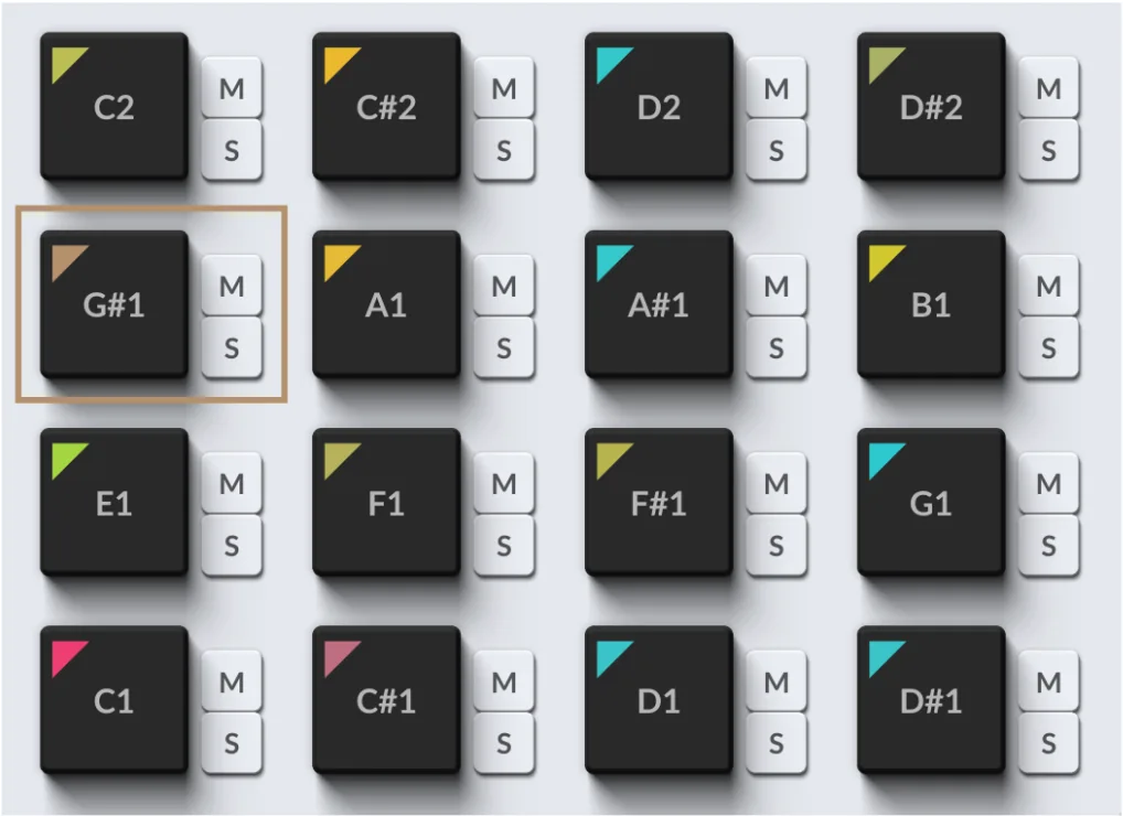 The 16 pads from C1 to D#2, each with Mute and Solo buttons